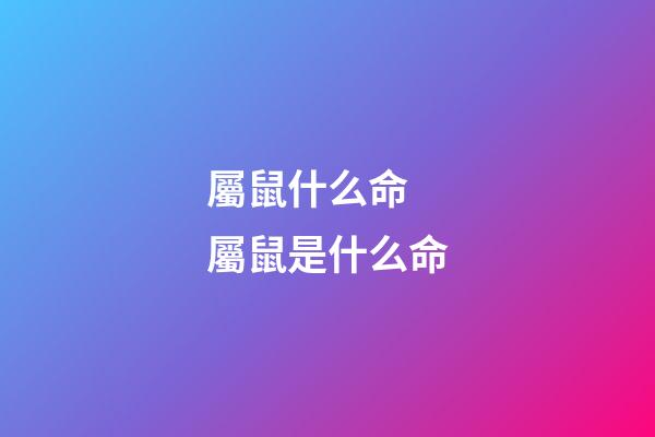 屬鼠什么命 屬鼠是什么命-第1張-觀點-玄機派